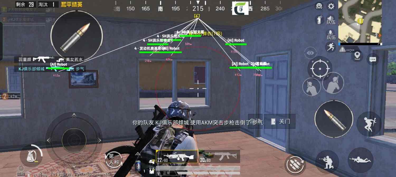 和平精英DDYS辅助